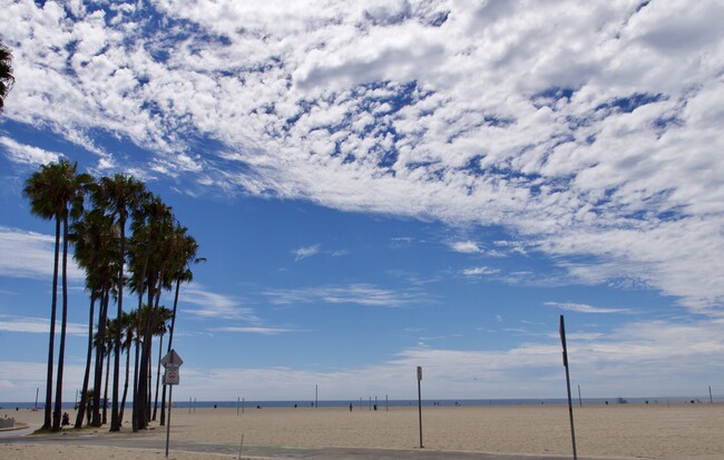 Beach at the end of the street - 36 Navy St