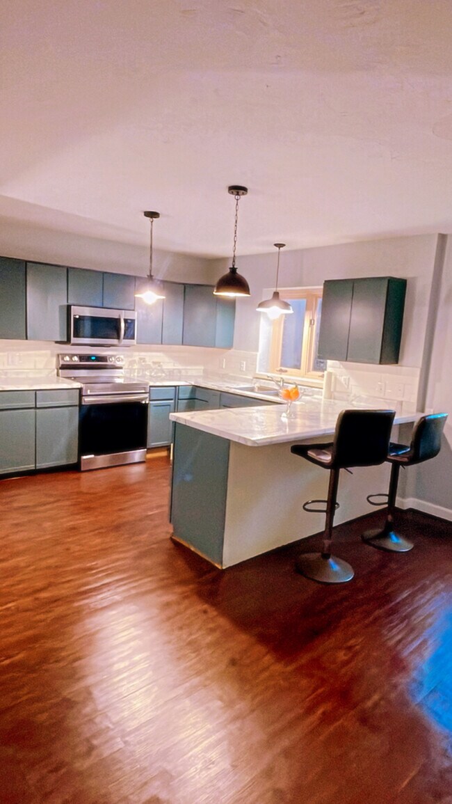 Electrodomésticos totalmente nuevos con isla y asientos - 332 N Delaware Ave