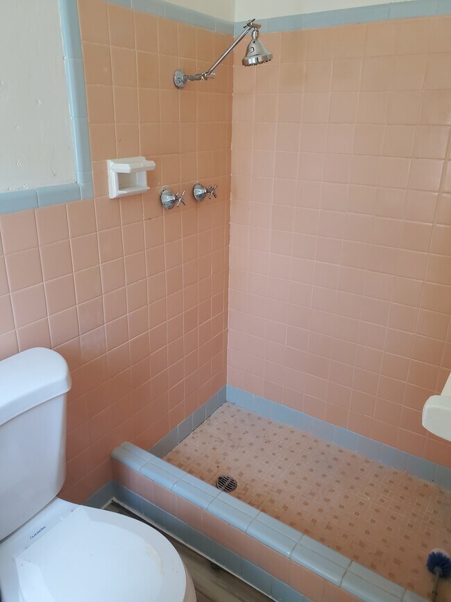 Baño - 1817 Rodman St