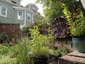 Building Photo - 13 Essex St Building Photo - 13 Essex St