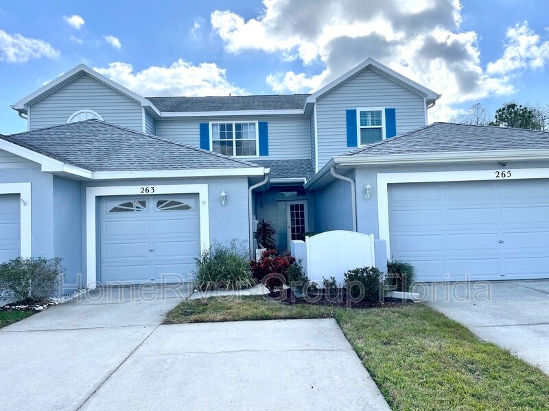 263 Hemingway Dr, Oldsmar, FL 34677 House Rental in Oldsmar, FL
