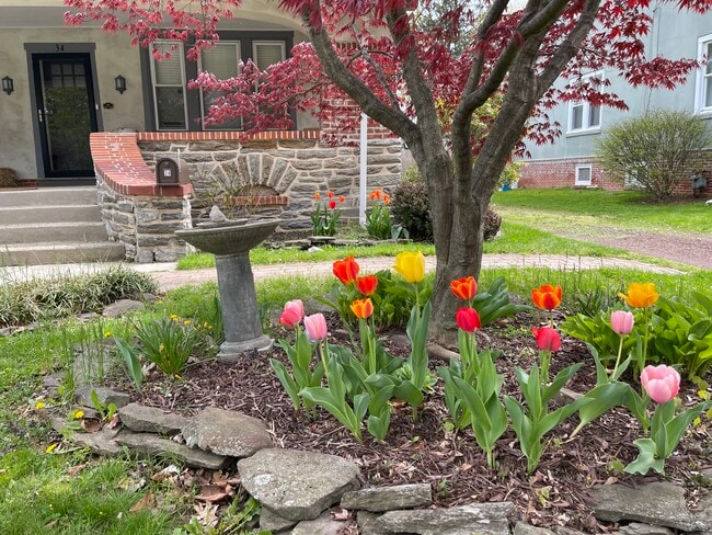 Foto del edificio - 34 N Highland Ave