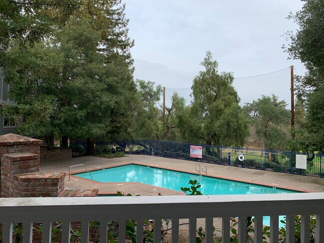 Pool view from patio - 905 Sunrose Ter