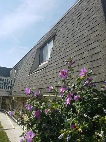 Foto del edificio - 520 Parkview Ln