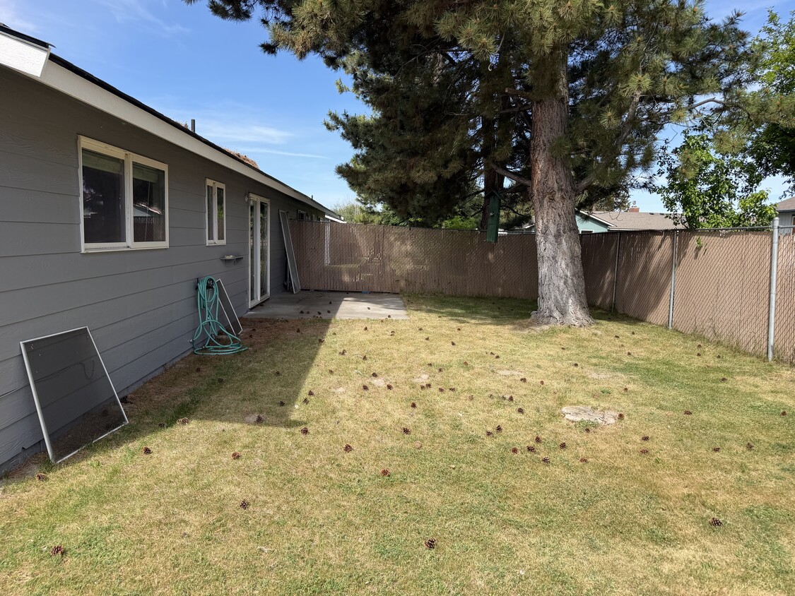 back yard - 1404 N Cora St