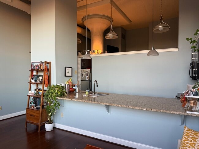 High ceilings - 2429 Locust St