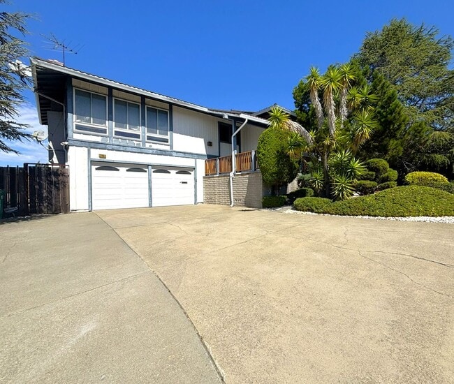 Hayward Hills Home is beautiful location, ... - Hayward Hills Home is beautiful location, ...