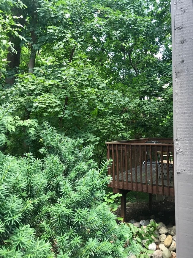 Photo - 106 Tulip Tree Ct Apartment