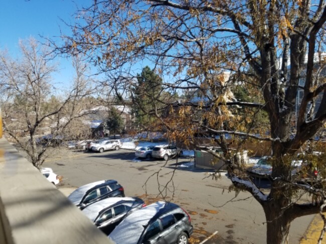 Foto del edificio - 9212 E Arbor Cir