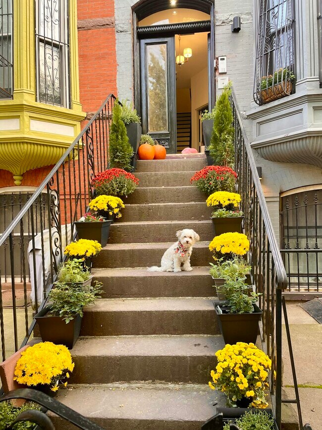 Foto del edificio - 908 Sterling Pl