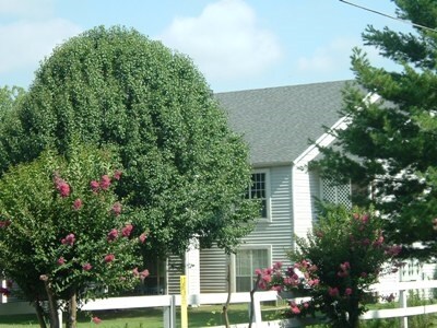 Coloca House - Post House