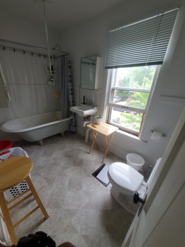 312 S Ingersoll St Unit 2, Madison, WI 53703 Condo for Rent in Madison, WI