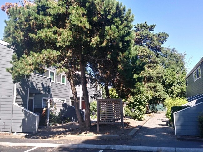 Foto del edificio - Maple View Apartments