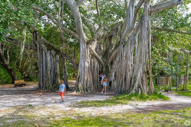 Hugh Taylor Birch State Park in Fort Lauderdale offers nature trails, picnics, and kayaking.