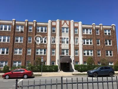 Photo - 1 bedroom in Boston MA 02135 Apartment