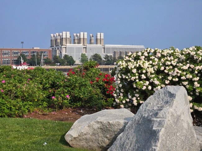 Foto del edificio - 50 Jeffries St