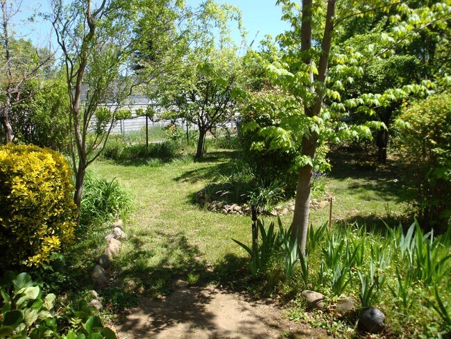 Building Photo - 2 bedroom 2 bath home