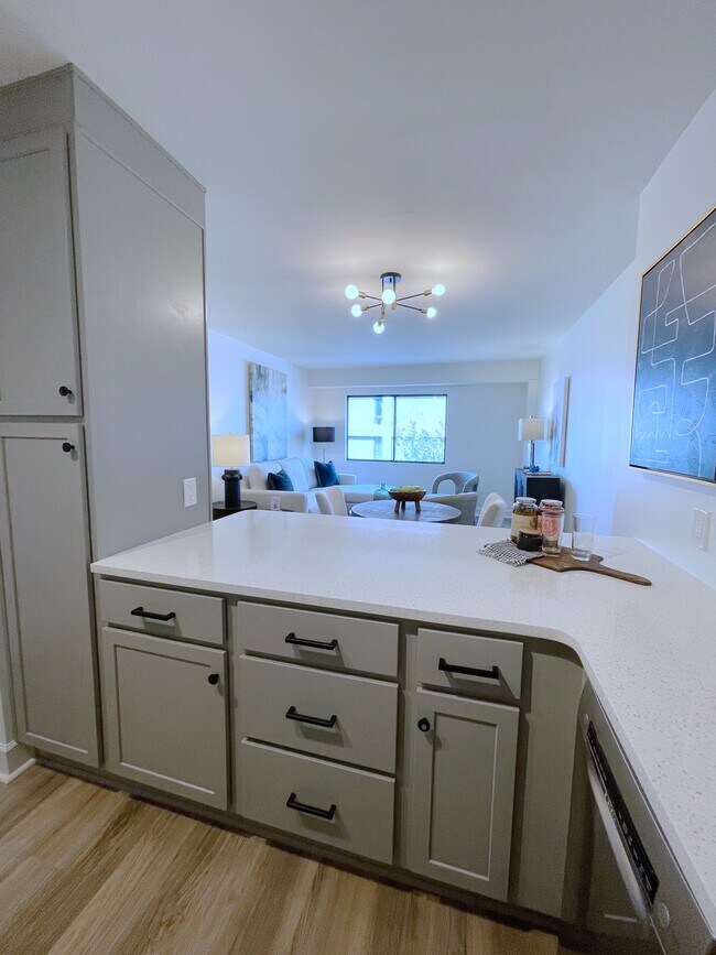Kitchen - Living Room - 2625 Highland Ave S