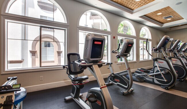 Evita la membresía del gimnasio sin tener que dejar de ir al gimnasio. - Palazzo East