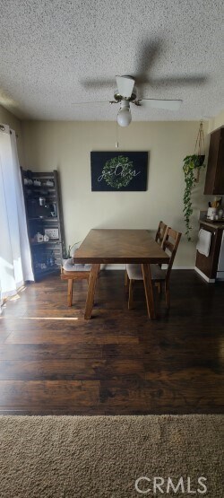 Foto del edificio - 307 Wilma Cir