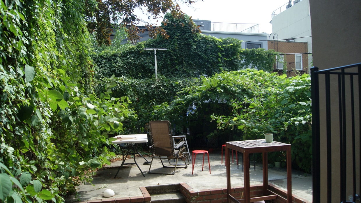 Primary Photo - 236 Meserole St