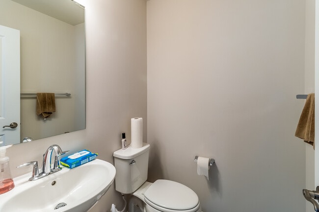 Building Photo - 3512 Stella Blue Dr