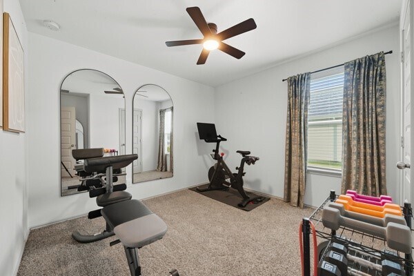 Foto del edificio - 1137 Buffalograss Trl