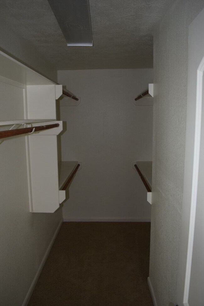 Foto del edificio - Stunning 3 Bed, 2 Bath in Creek Meadows!