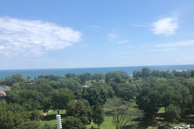 East view from the balcony - 1960 N Lincoln Park W