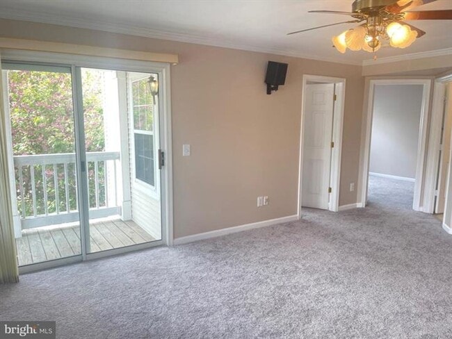 Photo - Amazing corner 3 bedroom/ 2 full bathroom Apartment