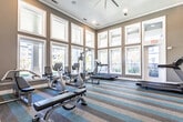 This fitness center is designed to provide a bright, functional, and inviting environment for exercise. The room is distinguished by its notably tall ceilings and an extensive arrangement of large, white-trimmed windows that line multiple walls, flooding the interior with natural light and offering open views of the surrounding outdoor greenery and neighboring buildings. The windows are organized in stacked pairs, reinforcing the room's generous vertical scale and contributing to an airy, open atmosphere.

The flooring features a bold striped pattern in tones of blue, gray, and tan, adding a contemporary visual element that complements the warm taupe wall color and crisp white trim and crown molding. The combination gives the space a polished yet approachable aesthetic.

Equipment is thoughtfully distributed throughout the room and includes multiple treadmills, stationary and recumbent bikes, a multi-station cable and weight machine, and an adjustable weight bench, offering a well-rounded selection for both cardio and strength training. An exterior door provides direct outdoor access, enhancing ventilation and convenience. Interior windows on one wall connect visually to an adjacent common area, further reinforcing the open, community-oriented character of the space.