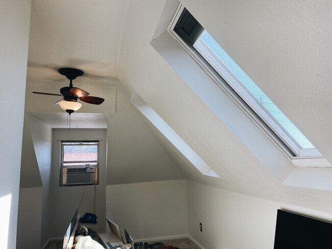 Foto del edificio - 3546 Lipan St