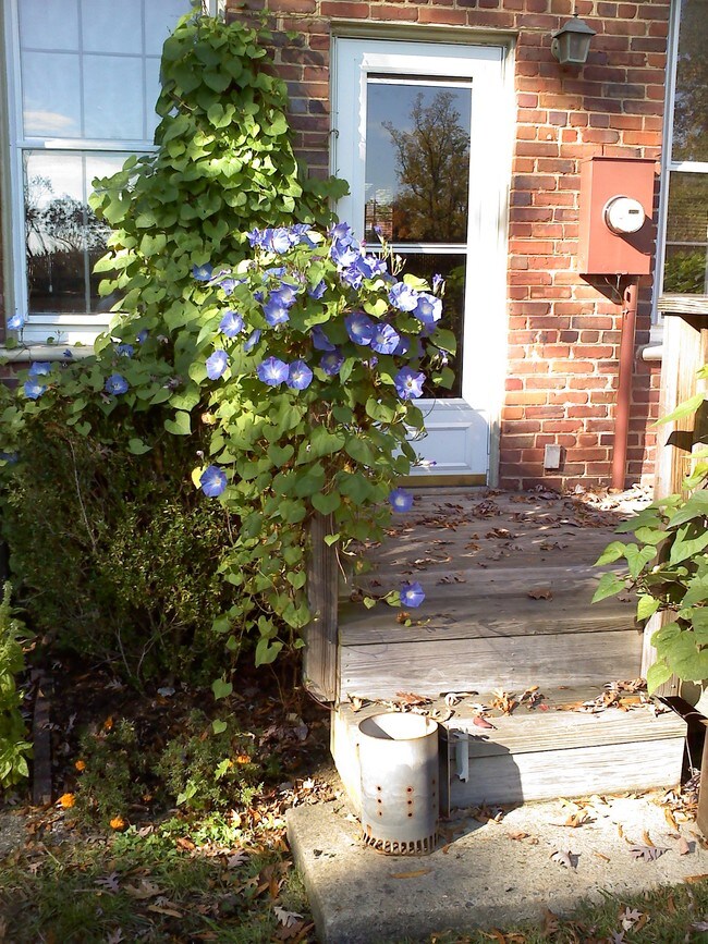 back deck - 1303 S Barton St