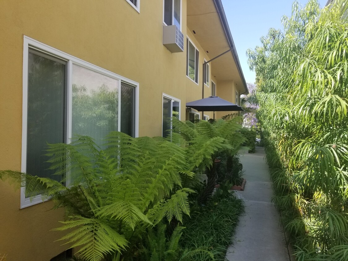 Courtyard/Lush Landscaping - 3657 Mentone Ave