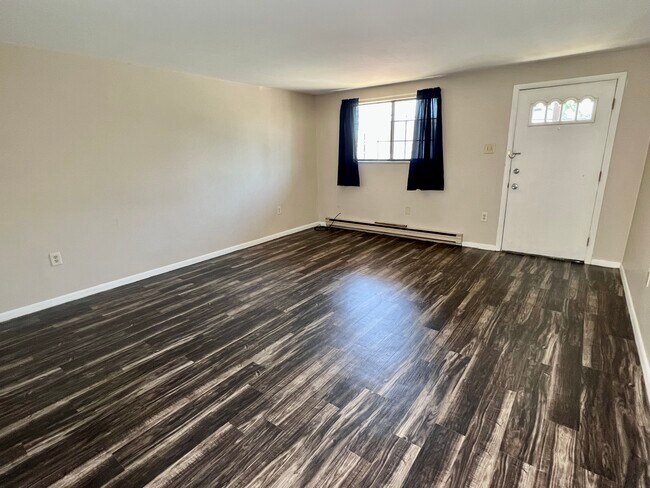 Large living room - 230 W Madison St