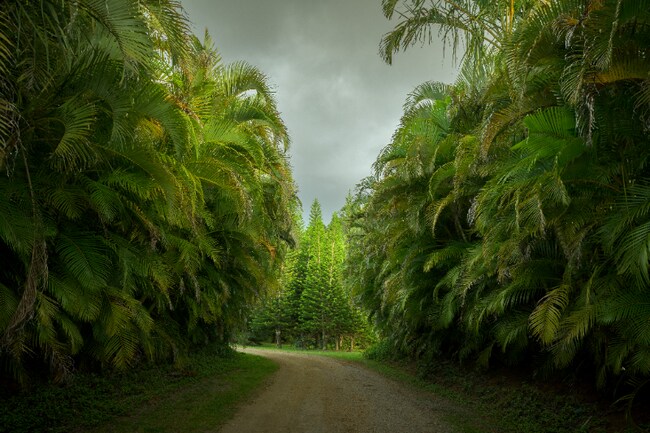 Foto del edificio - 1949 W Kuiaha Rd