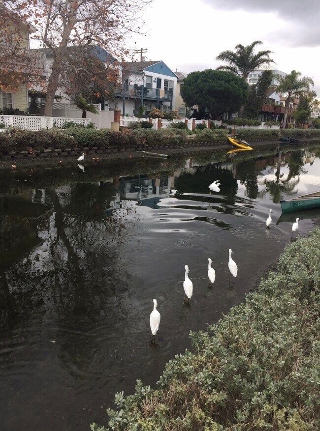 Foto del edificio - 2712 Strongs Dr