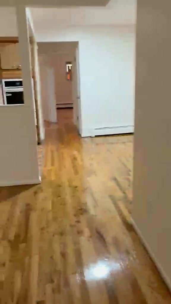Photo - 1115 St Lawrence Ave (The Bronx, NY) Apartment