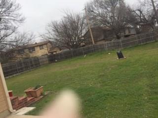 Foto del edificio - 2311 Pecandale Dr