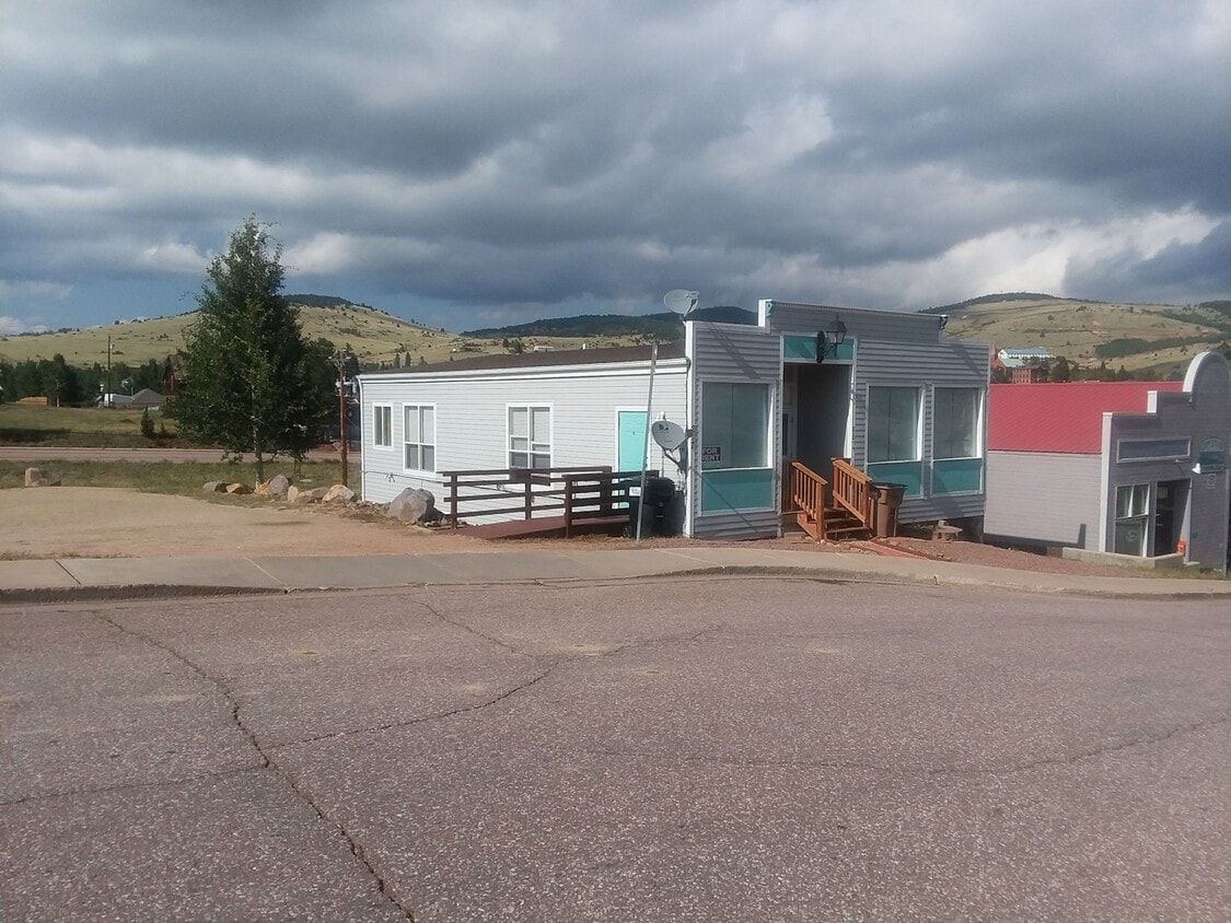 217 Masonic Ave Unit 2, Cripple Creek, CO 80813 Condo for Rent in