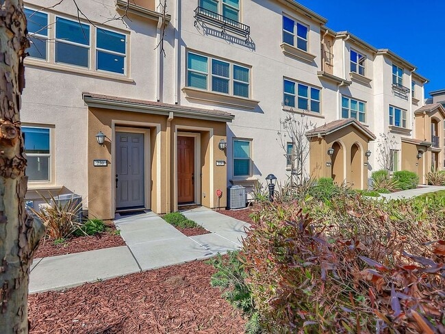 Building Photo - 226 Rosarno Ct