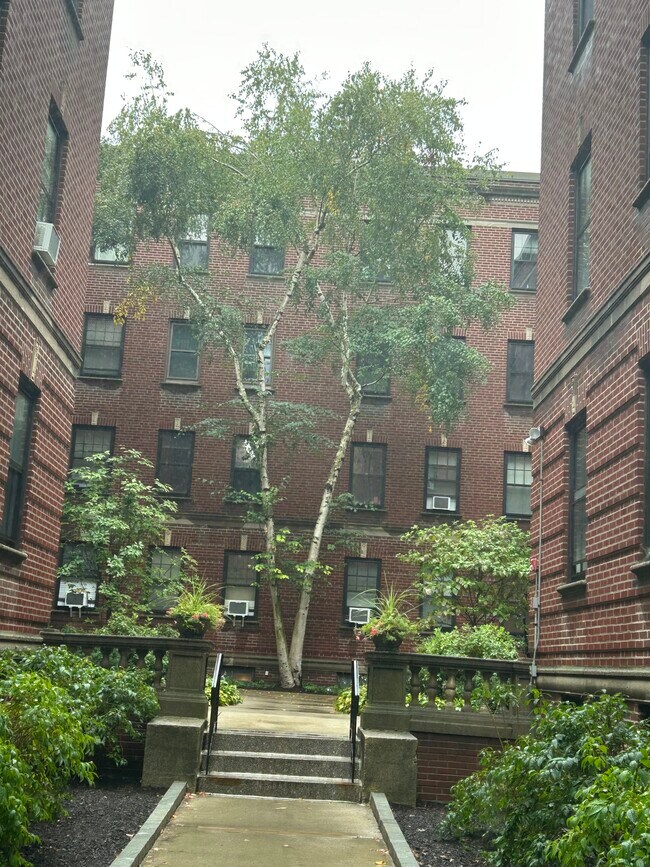 Foto del edificio - 36 Linnaean St