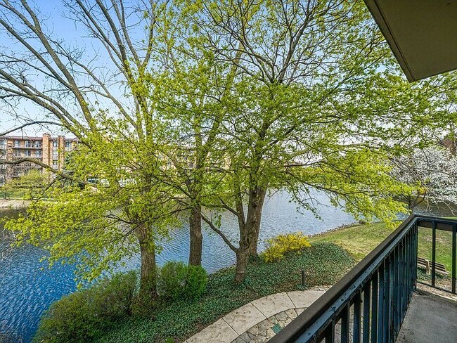 Vista desde el patio y todas las ventanas - 301 Lake Hinsdale Dr