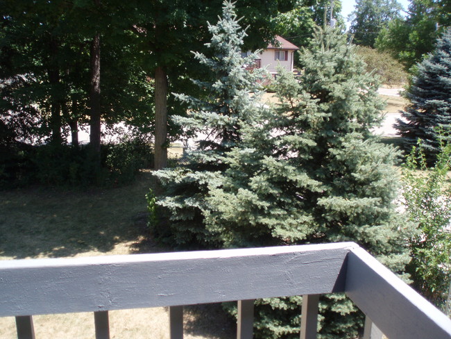 Building Photo - 673 Foxtree Cir