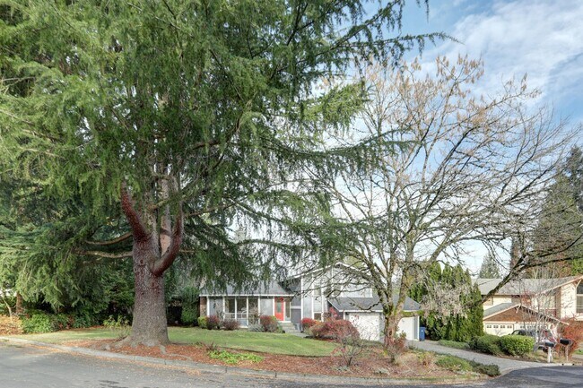 Building Photo - Sunny and Bright Tri-Level 3 Bedroom/2.25 ...
