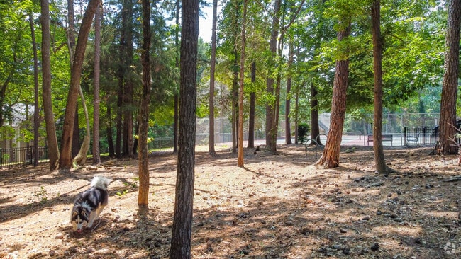 Bark Park - Lexington Farms Apartments