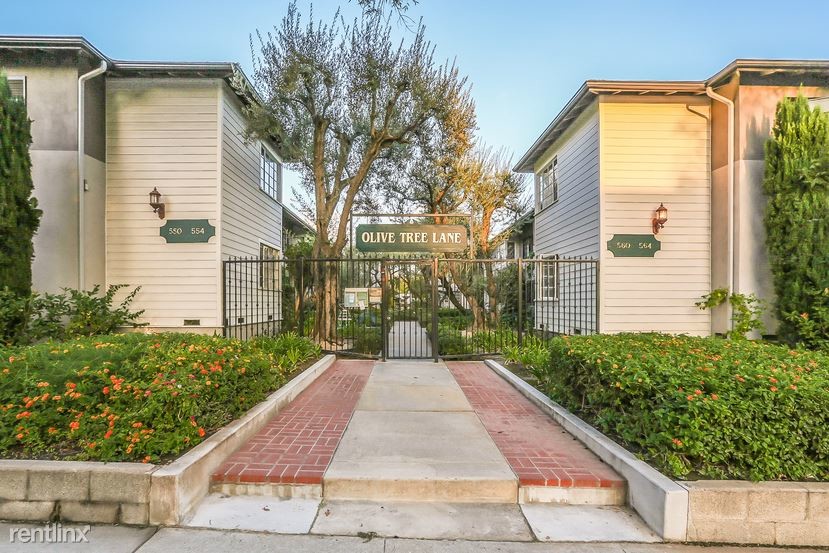 Primary Photo - 1 br, 1 bath Apartment - Olive Tree Lane 265a