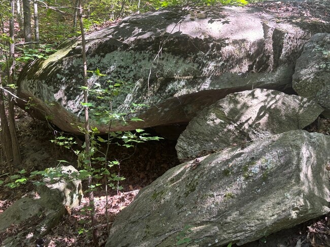 cave under granite - 705 Alcovy Forest Dr