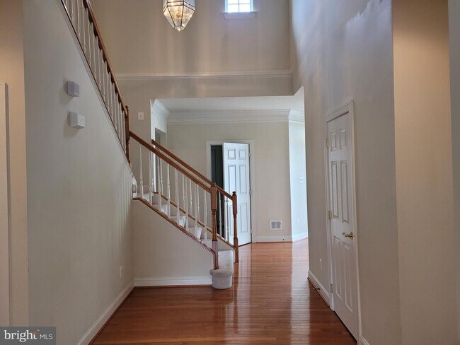 Foto del edificio - 234 Whirlaway Ln