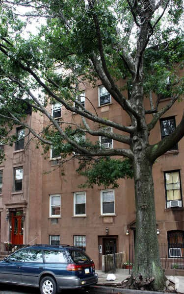 Building Photo - 347 Pacific St
